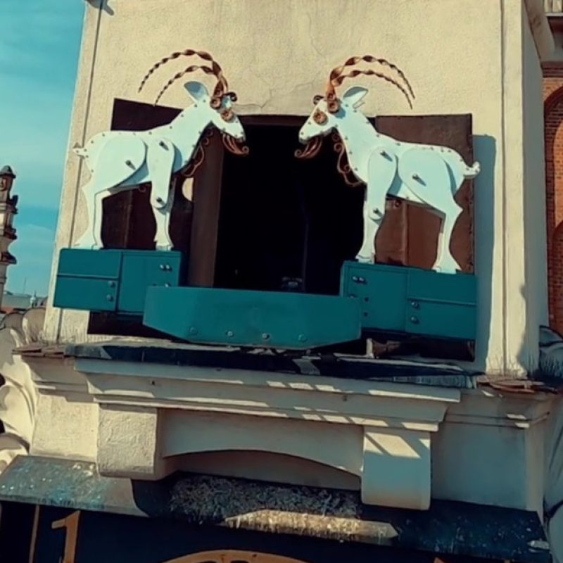 pokaz koziołkowy PL